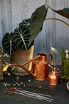 Thumbnail View 1: Haws 1 Liter Copper Watering Can + Mister Gift Set