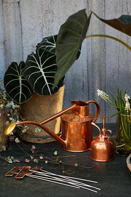 Haws 1 Liter Copper Watering Can + Mister Gift Set