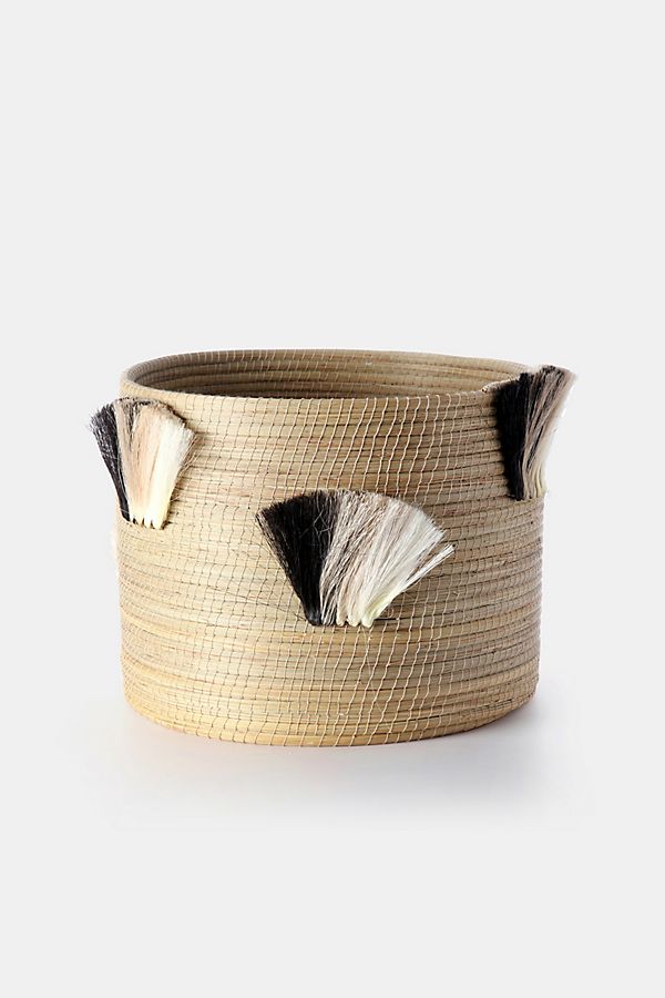 Slide View: 1: Charlie Sprout Fanned Out Large Planter