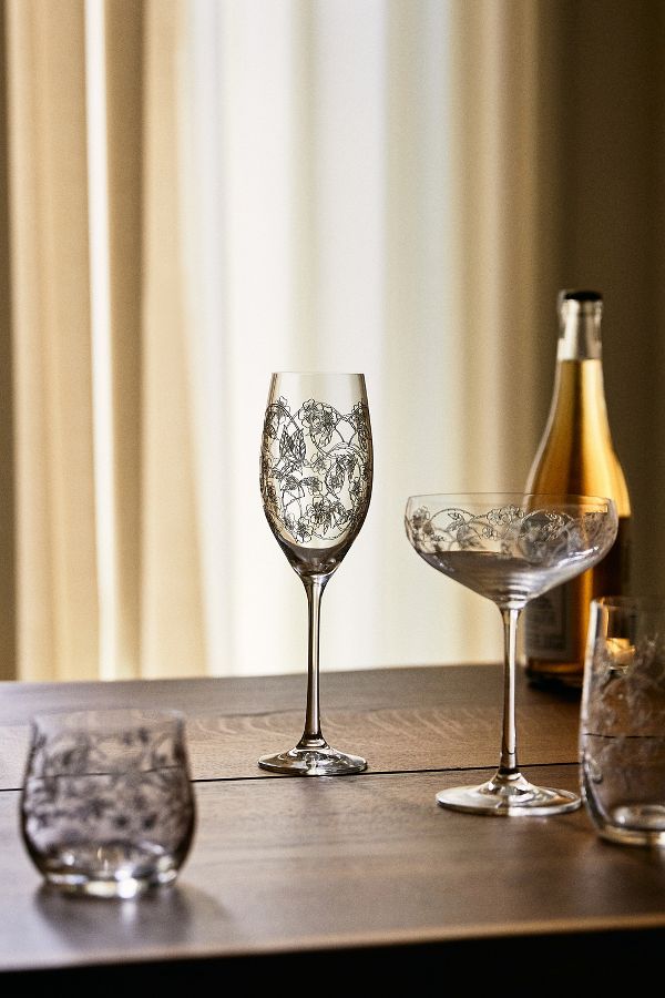 Slide View: 5: Fiorella Coupe Glasses, Set of 4