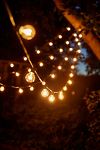 Thumbnail View 1: Stargazer Garden Lights Set of 21 Bulbs, Clear