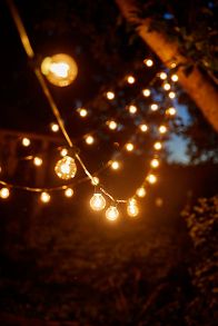 Slide View: 1: Stargazer Garden Lights Set of 21 Bulbs, Clear