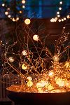 Thumbnail View 5: Stargazer Garden Lights Set of 21 Bulbs, Clear