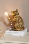 Thumbnail View 1: The Icon Table Lamp: Raccoon Edition