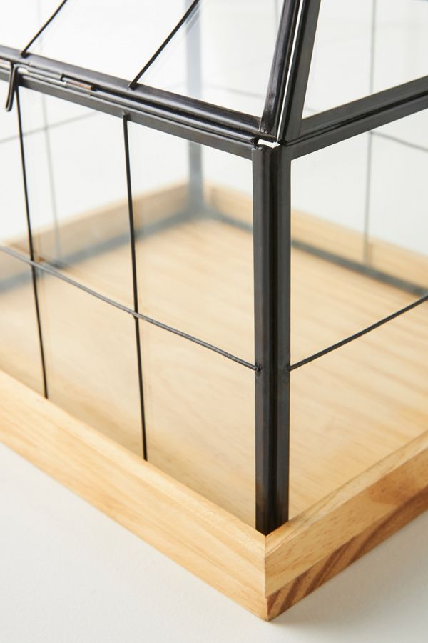 Mini Greenhouse Terrarium Anthropologie UK