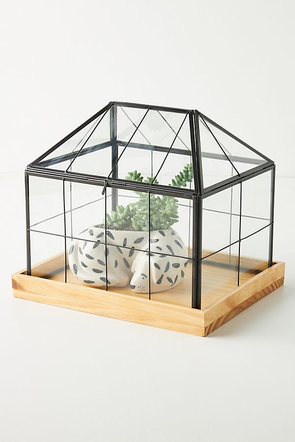 Slide View: 1: Mini Greenhouse Terrarium