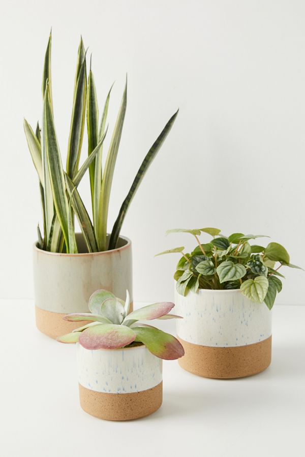 Sarah Ceramic Pot Anthropologie UK