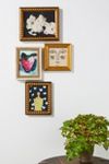 Thumbnail View 3: November Roses Wall Art