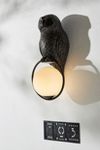 Thumbnail View 1: Woodland Owl Sconce