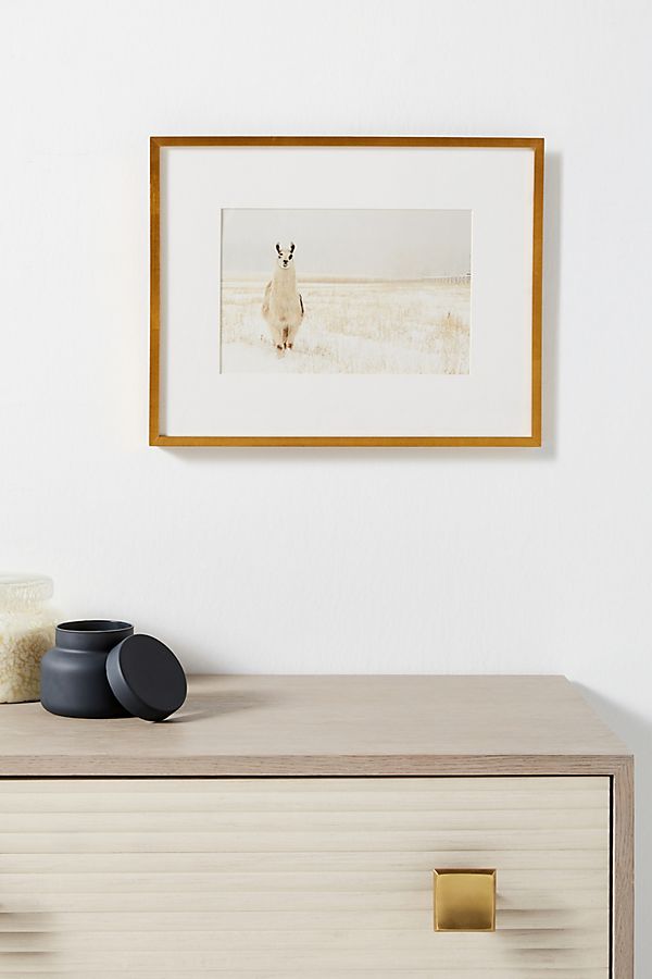 Slide View: 1: Llama In The Snow Wall Art