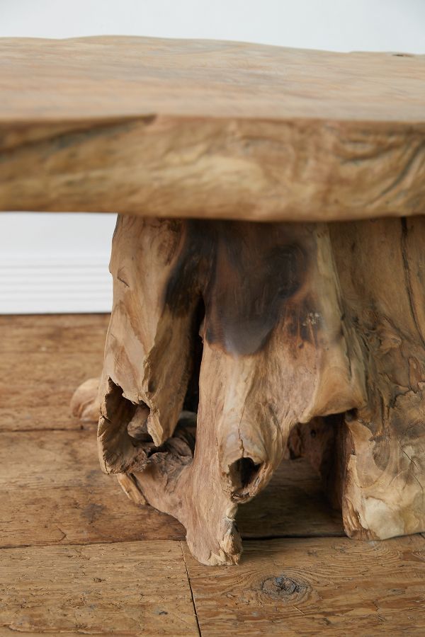 Slide View: 5: Teak Root Coffee Table