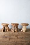 Thumbnail View 7: Teak Root Side Table