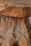 Thumbnail View 4: Teak Root Side Table