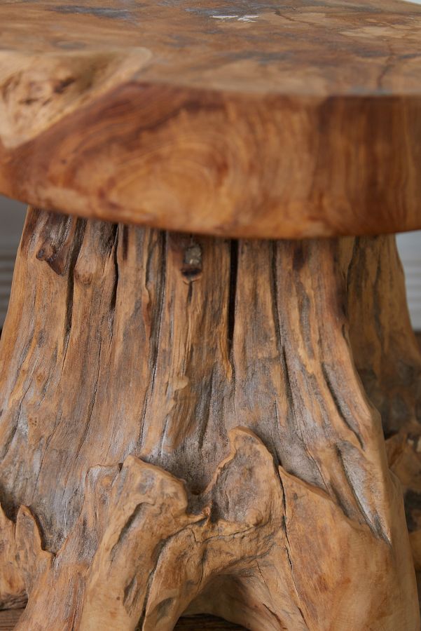 Slide View: 4: Teak Root Side Table