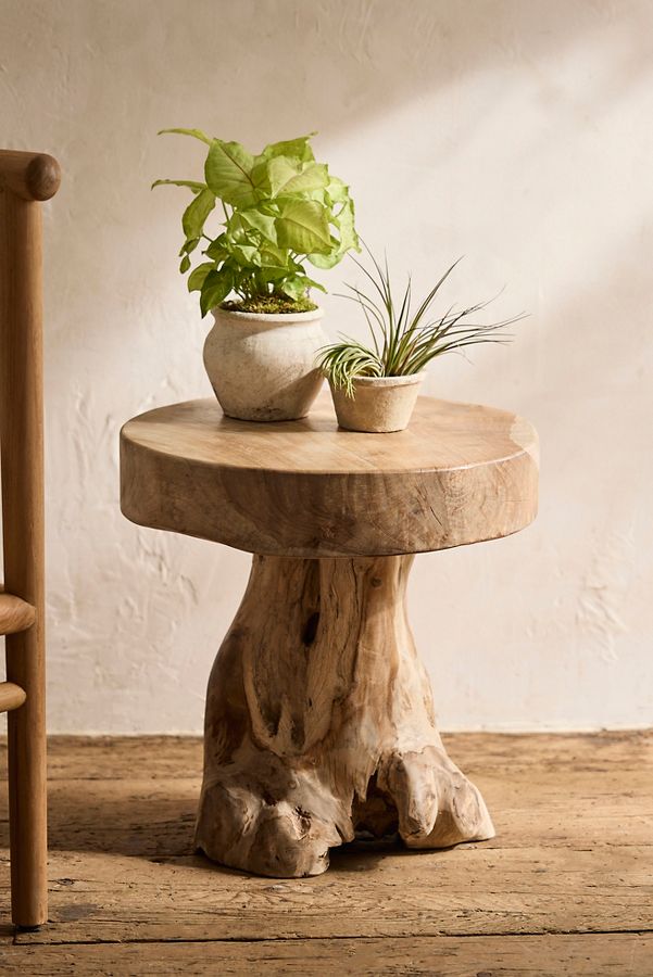 Slide View: 2: Teak Root Side Table