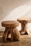 Thumbnail View 8: Teak Root Side Table