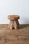 Thumbnail View 6: Teak Root Side Table