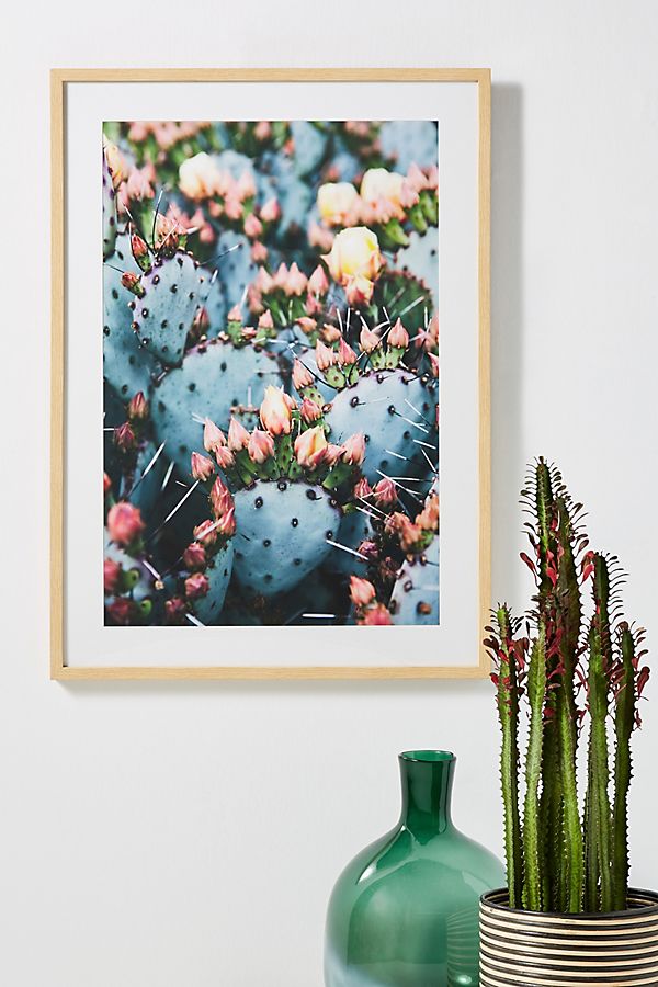 Slide View: 1: Prickly Pear Wall Art