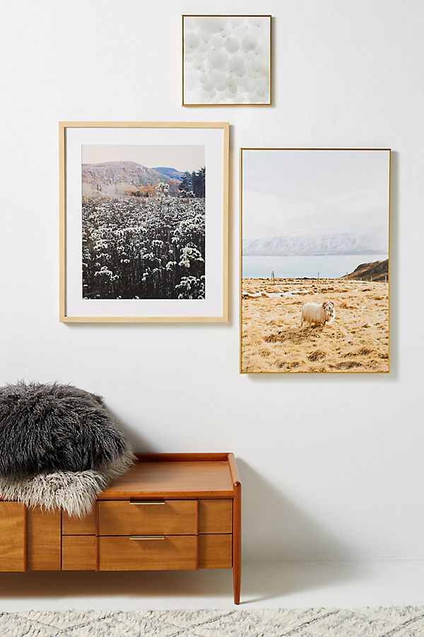 Slide View: 1: Icelandic Ram Wall Art