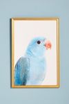 Thumbnail View 2: Blue Parrot Wall Art