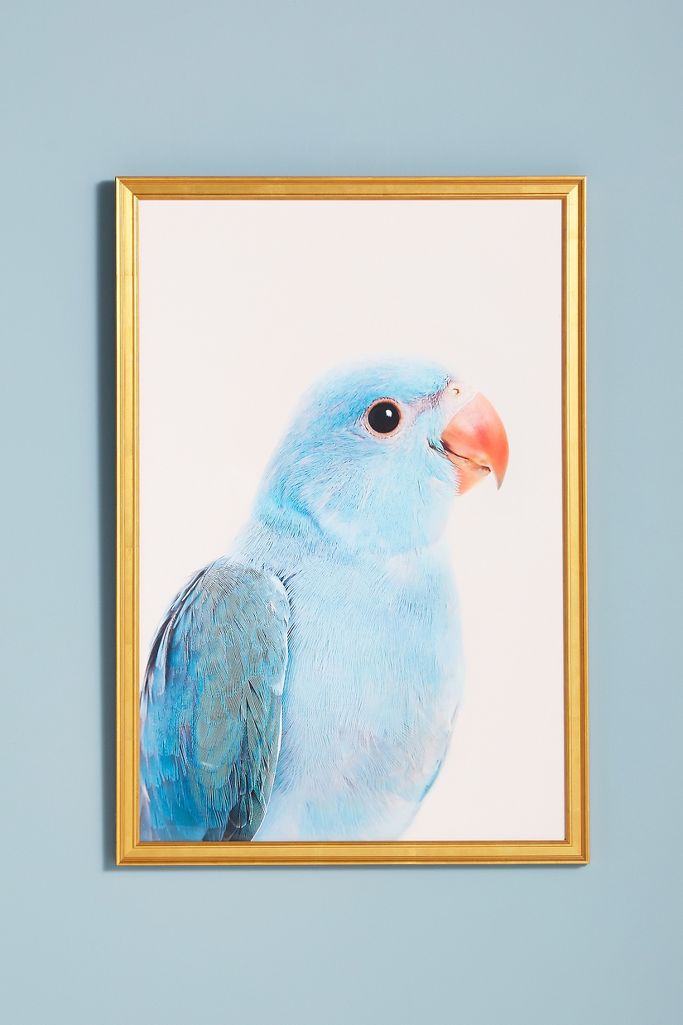 Blue Parrot Wall Art Anthropologie