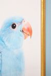 Thumbnail View 3: Blue Parrot Wall Art