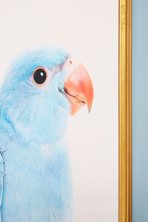 Slide View: 3: Blue Parrot Wall Art