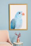 Thumbnail View 1: Blue Parrot Wall Art