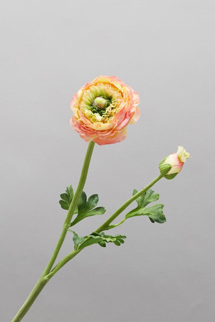 Faux Ranunculus Stem | Anthropologie