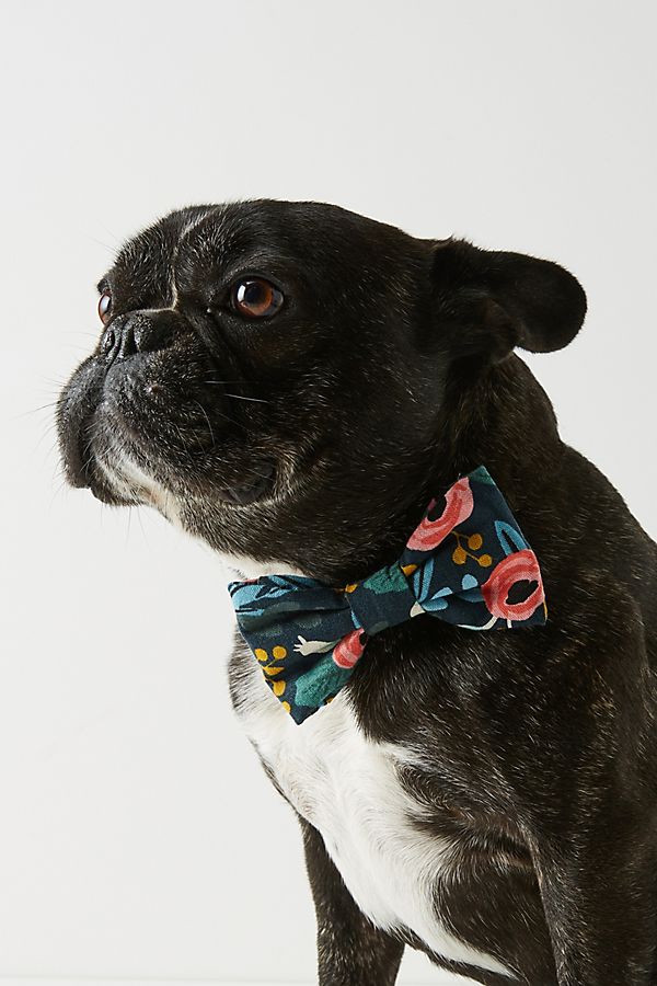 Slide View: 1: Rifle Paper Co. x The Foggy Dog Rosa Bow Tie