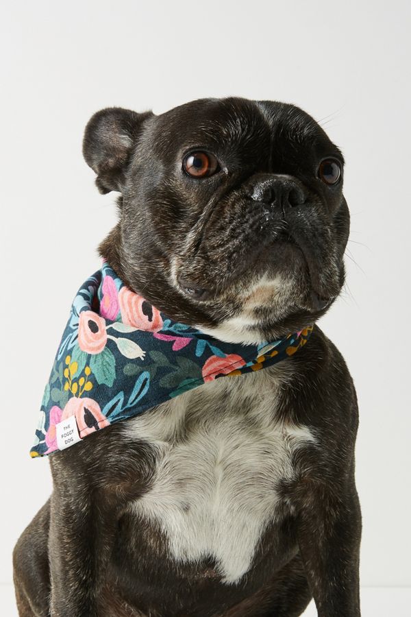 The Foggy Dog x Rifle Paper Co. Bandana - Holiday Cookies main image 1