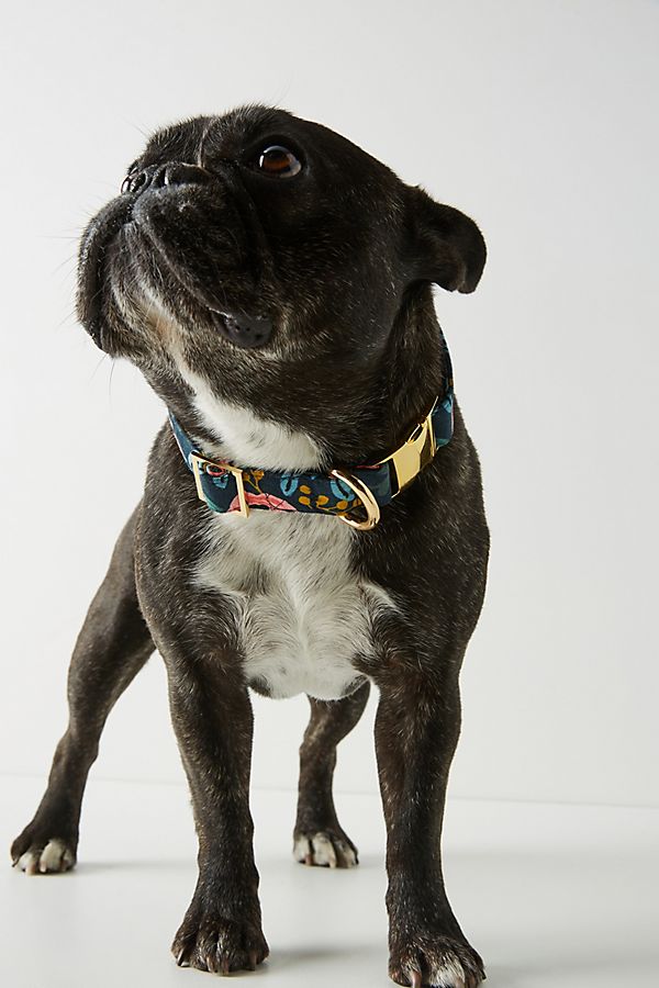 Slide View: 1: Rifle Paper Co. x The Foggy Dog Rosa Collar