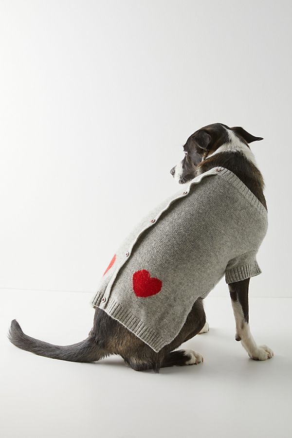 Slide View: 1: Heart Dog Sweater