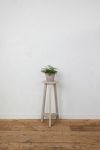 Thumbnail View 4: Three Leg Plant Stand