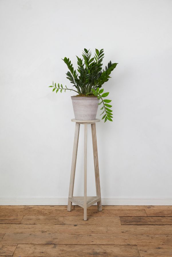 Slide View: 2: Three Leg Plant Stand