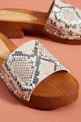 seychelles clogs
