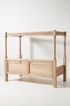 Ezana Indoor/Outdoor Canopy Daybed | Anthropologie