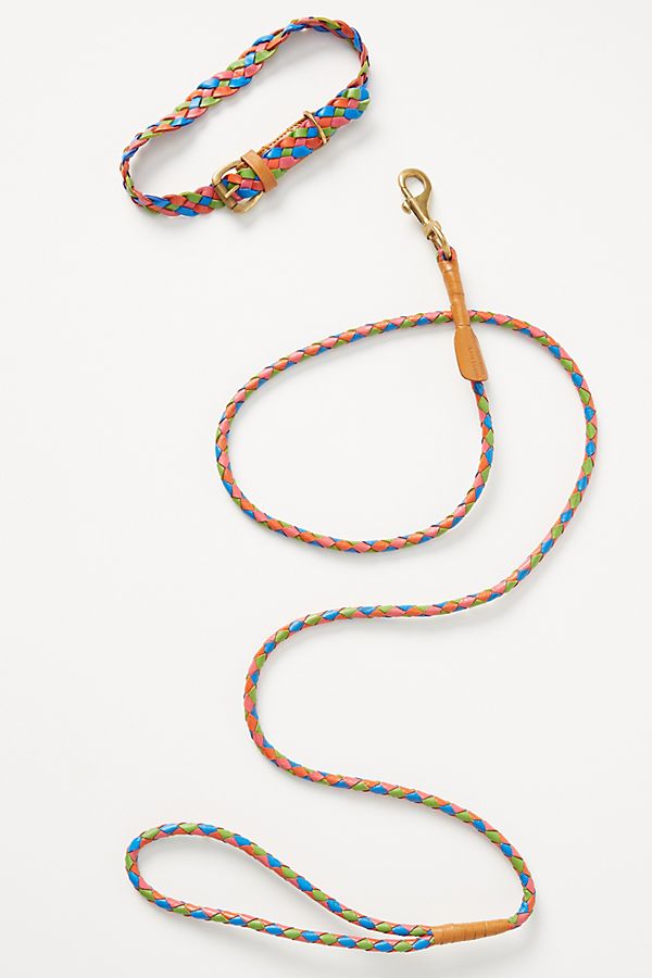 Slide View: 2: Windsor Dog Collar