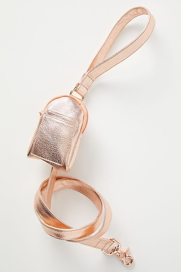 Slide View: 1: Leather Leash and Pouch Set