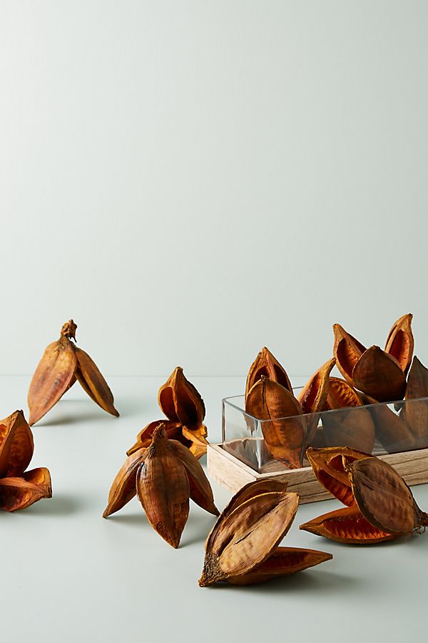 Slide View: 1: Dried Sora Pods, Set of 12