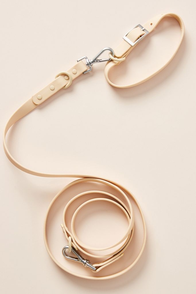 Wild One Dog Leash Anthropologie