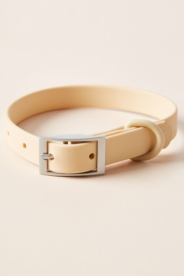 Wild One Dog Collar Anthropologie