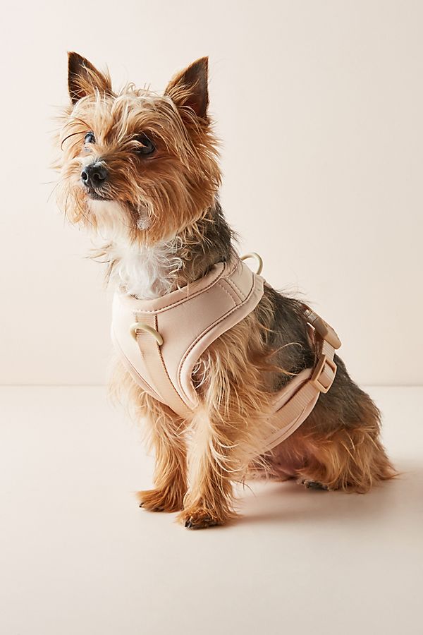 Slide View: 1: Wild One Dog Harness