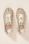dolce vita madox sneakers