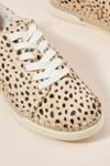 dolce vita madox sneakers