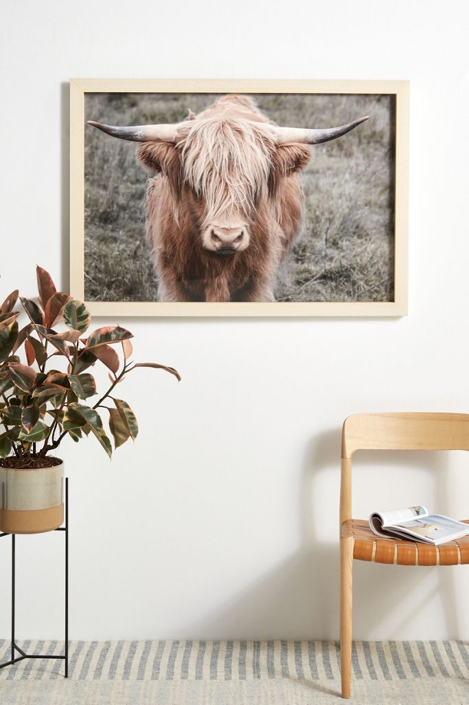 Standing Bull Wall Art Anthropologie