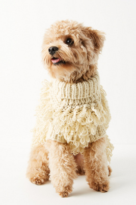 max bone sweater