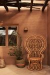 Thumbnail View 9: Plumage Indoor/Outdoor Rattan Chair