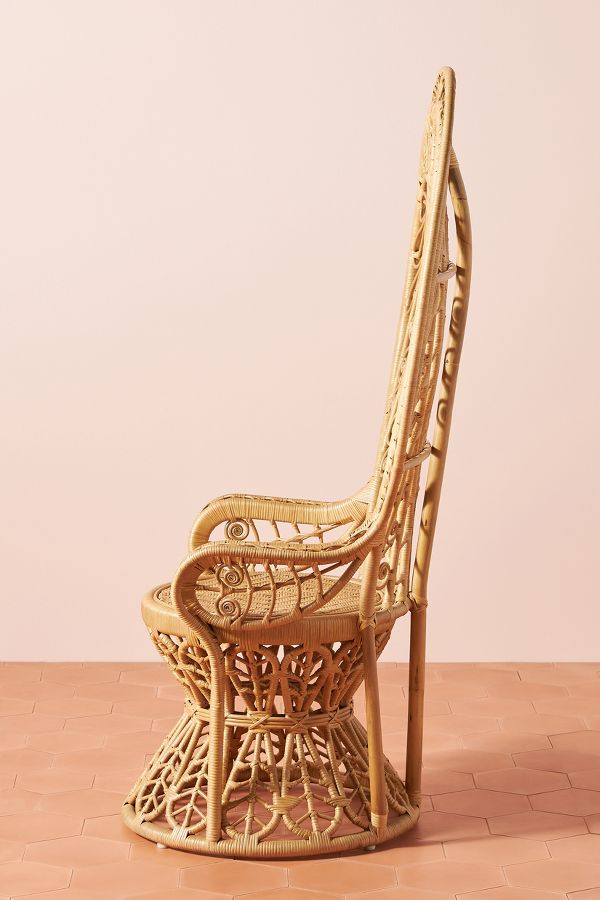 Slide View: 4: Plumage Indoor/Outdoor Rattan Chair