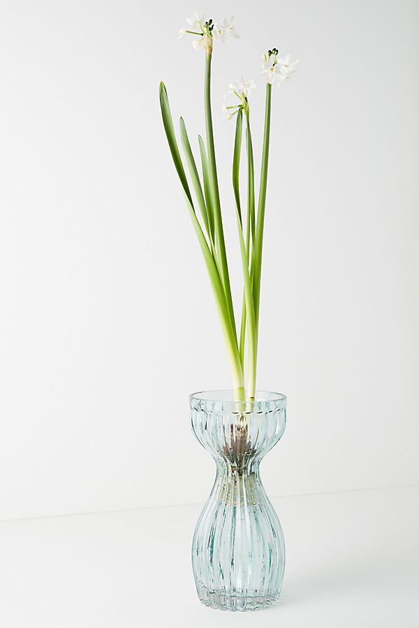 Slide View: 1: Sabella Vase